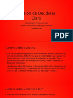 Gestión de Deudores