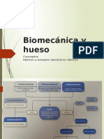 Biomecánica y Hueso