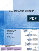 Eukariot 18 PDF