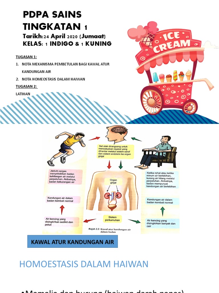 Nota Sains Tingkatan 1 Kssm Bab 3 Homeostasis Kawalatur Suhu Pdf