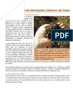 09. La CIC del Suelo.pdf