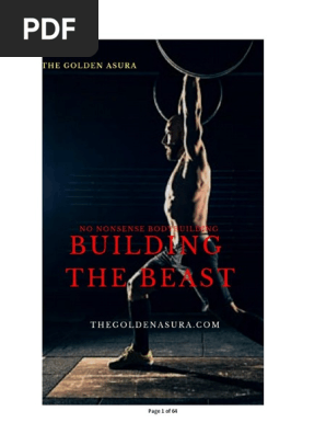 buildingthebeast.pdf