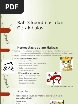 Bab 3 Koordinasi Dan Gerak Balas Pdf