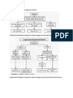 Algoritma Diagnosis Anemia.pdf