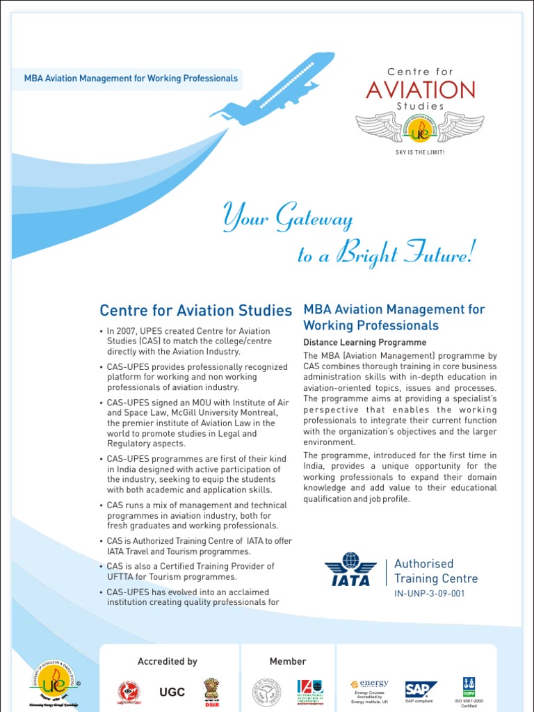 Aviation management thesis picture