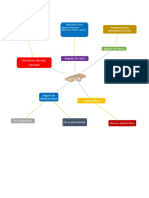 Diagrama de Cierra Marvin Montejo