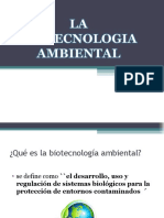 Bioremedación PDF