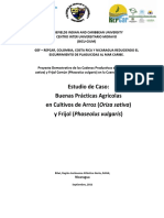 Estudio de Caso Proyecto Arroz y Frijol PDF