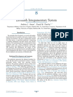 Chapter 8 - Zebrafish Integumentary Sy - 2020 - The Zebrafish in Biomedical Rese