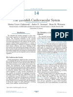 Chapter 14 - The Zebrafish Cardiovascula - 2020 - The Zebrafish in Biomedical Re