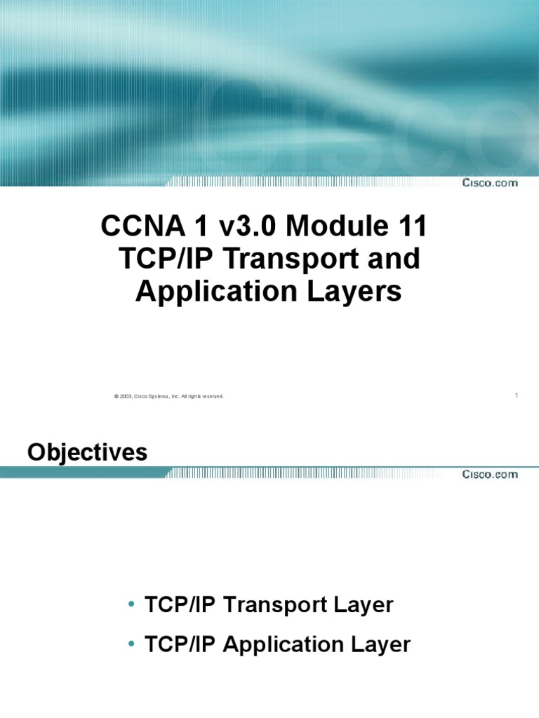 CCNA 1 v3.0 Module 11 TCP/IP Transport and Application Layers | PDF ...