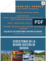 Collage Ecosistemas Costeros de Oaxaca
