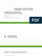 Neoplasma Sistem Urogenital PDF