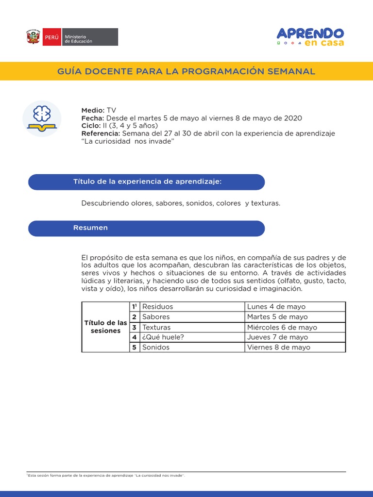 Guía Docente: Aprendizaje Sensorial y Ambiental | PDF | Plan de ...