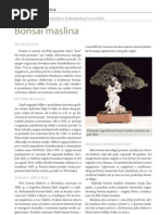 Download BONSAI - Olea europaea  maslina by AnimaBonsai SN45975662 doc pdf