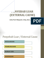 8.penyebab Luar (Eksternal Cause)