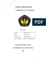 Laporan Praktikum Acara Ii Pemuliaan Tanaman Icha PL