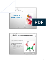 06_Grupos_funcionales.pdf
