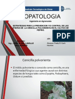 Exposición de Estrategias para El Control de Mildiu