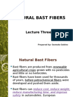 Lecture three Natural bast fiber.pptx