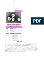 Coronavirus - Wikipedia  04.05.2020