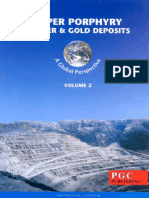 T.M. Porter (Editor) - Super Porphyry Copper and Gold Deposits - A Global Perspective. 2-PGC Publishing (2005) PDF