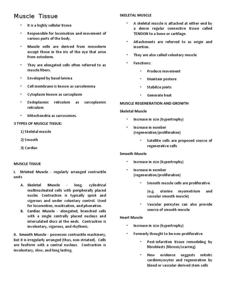 Understanding Skeletal Muscle: A Comprehensive Look at Muscle Tissue ...