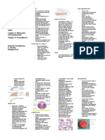 Histology and Microtechniques Biology 160 Prof. Maria Luisa J. Landingin