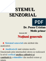 Sistemul Senzorial