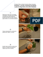 NCSU_PDIC_empacar_muestras-1.pdf