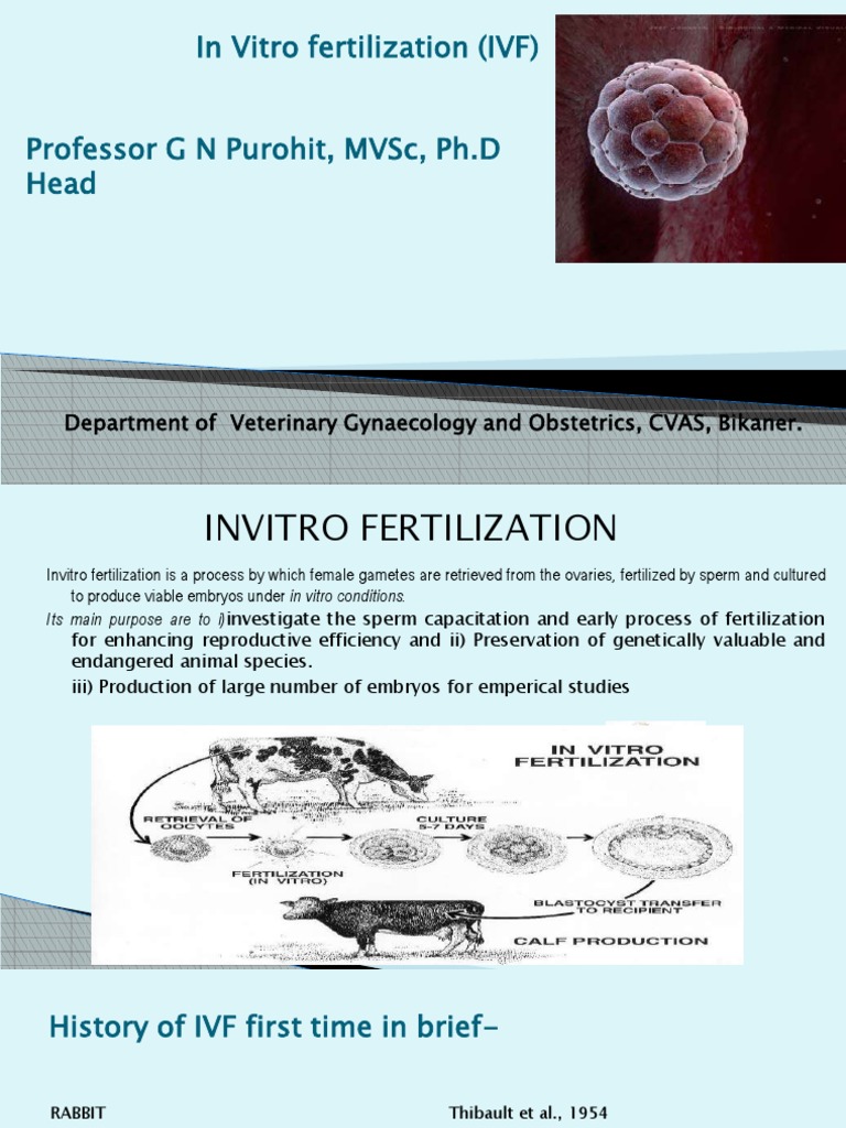 IVF Techniques in Veterinary Science | PDF | In Vitro Fertilisation ...