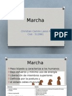 Marcha y Postura