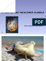 Incalzirea Globala