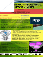 6 Principios Del Oceano Azul PDF