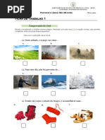 PLNM Ficha 1-compreensão do oral