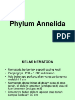 Annelida PDF