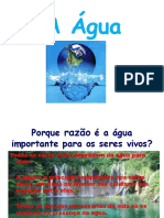 Agua 5ano 120606040644 Phpapp01