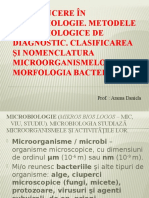 Morfologia Bacteriilor