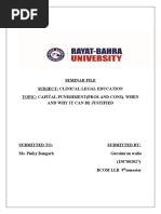 CAPITAL PUNISHMENT SEMINAR FILE