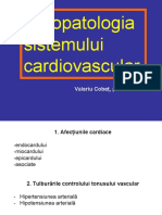 FP Cardiovasculară