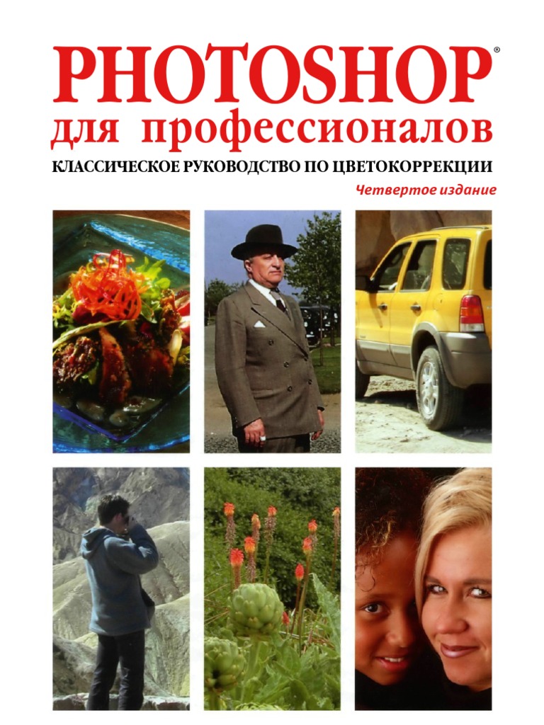 Professional The Classic Guide To Color Correction, Fourth
