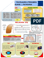 Banner Neumo PDF