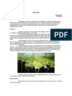 Aquaponia Producao Peixes Com Vegetais PDF