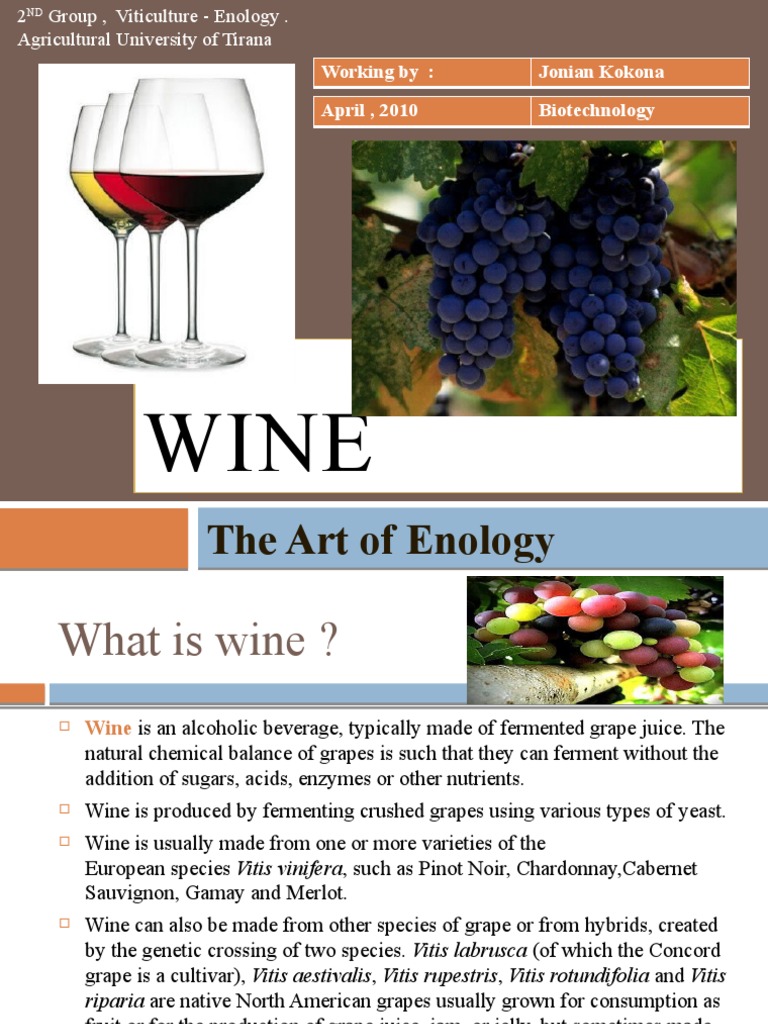 Understanding Wine History And Varieties Pdf Wine Italian Wine