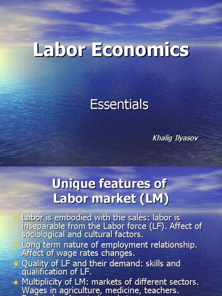 Key Concepts in Labor Economics | PDF | Labour Economics | Market ...