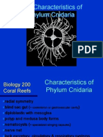 005 Phylum Cnidaria