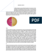 Análisis de medios de cultivo para identificar bacterias