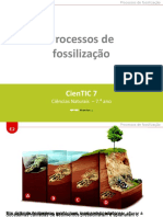 CienTic7 - M2 Processos de Fossilização