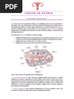 RESUMO CA DE OVÁRIO