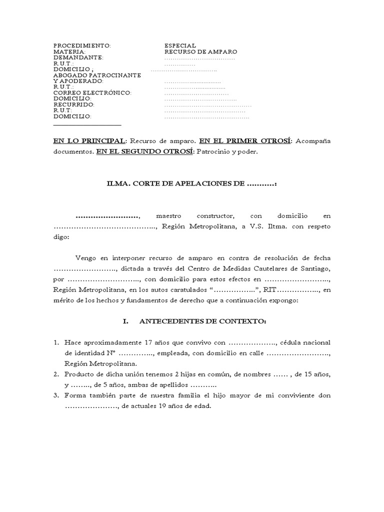 Recurso de Amparo Modelo | PDF | Violencia doméstica | Gobierno